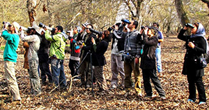    خبر ویژه برنامه های روز جهانی پرندگان مهاجر در ایران برگزار می شود